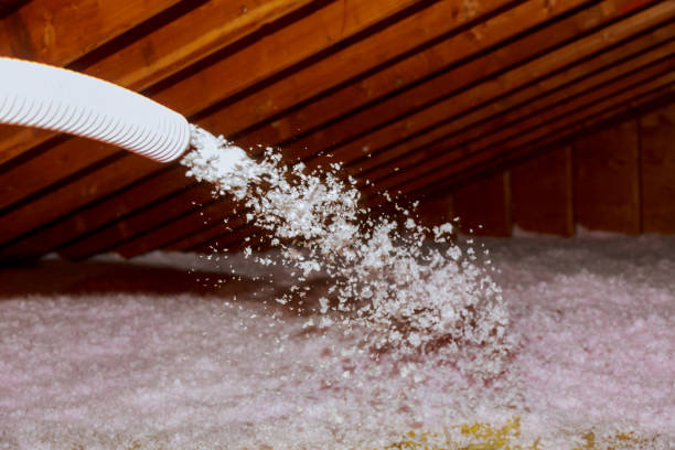 Best Insulation Maintenance and Repair in Abernathy, TX
